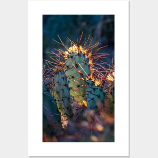 Texas Cactus Posters and Art